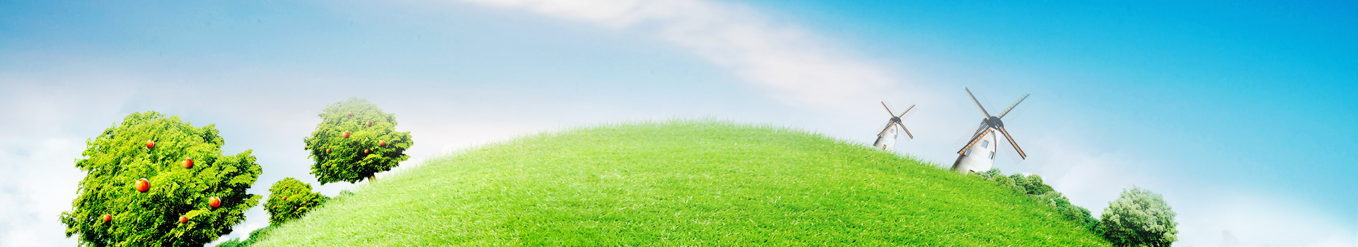 山東鑫意順電氣有限公司